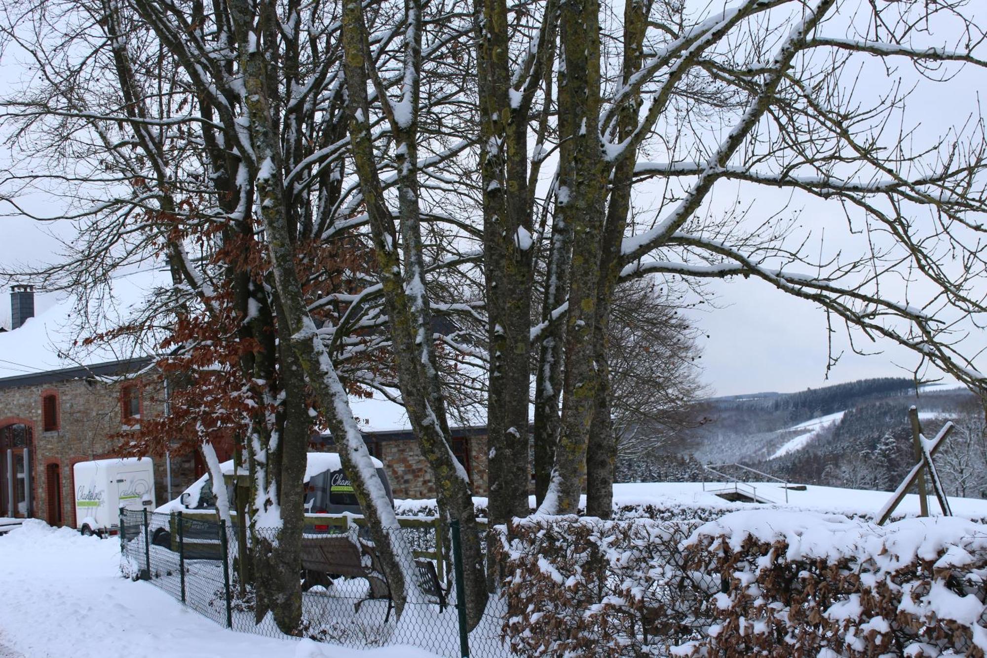 Chanteloup, Maison D'Hotes - Halleux Halleux  Dış mekan fotoğraf